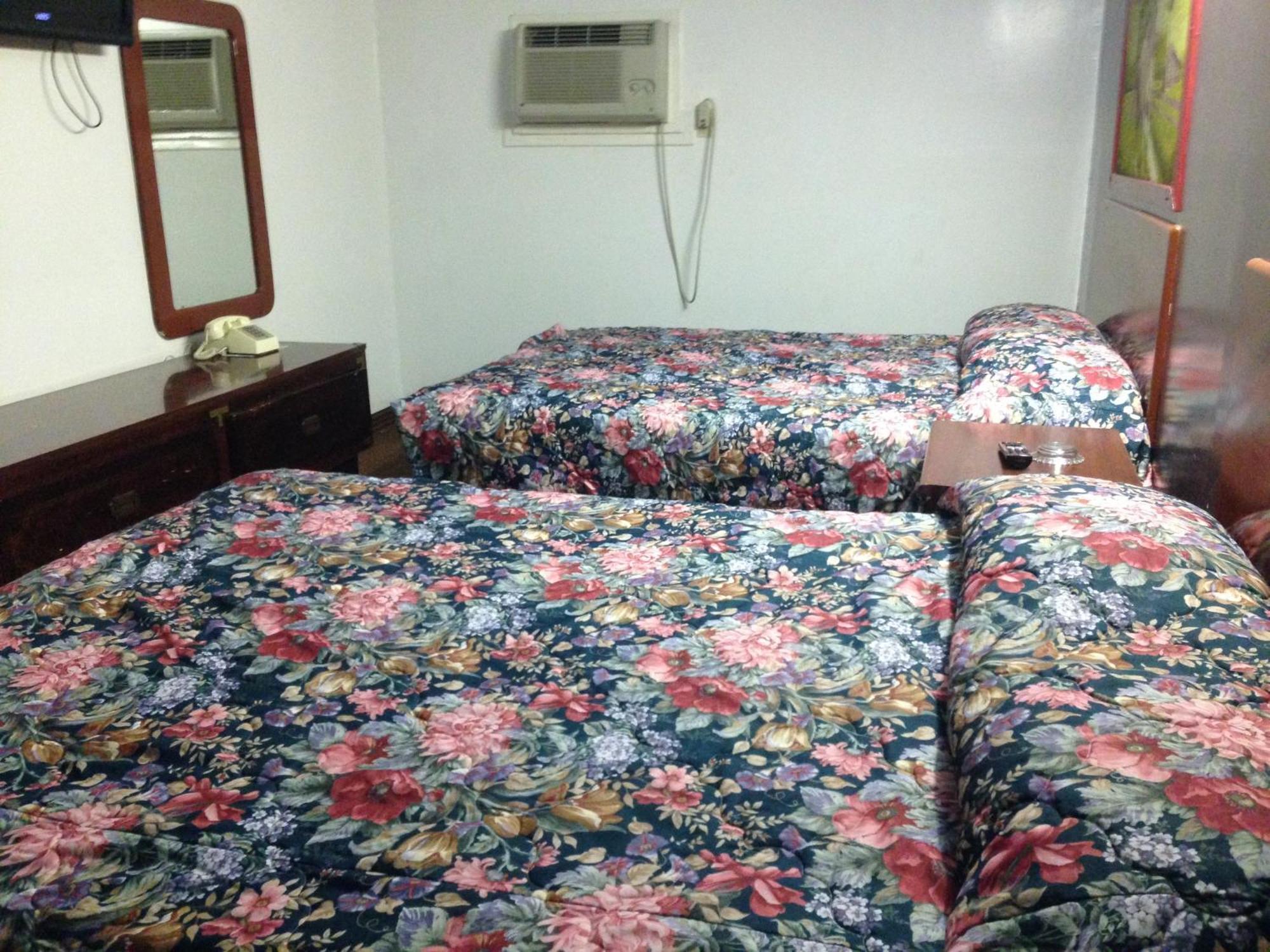 Choice Inn San Antonio Oda fotoğraf
